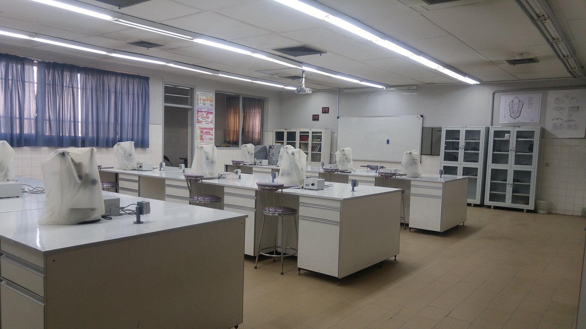 آزمایشگاه دیرینه شناسی