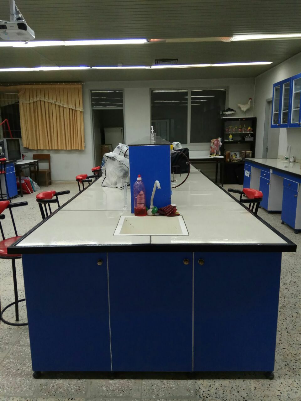 آزمایشگاه زیست شناسی میکروبی
